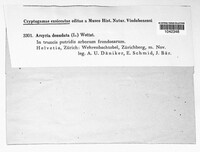 Image Associated With the Occurence